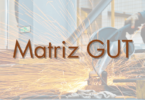 Matriz GUT