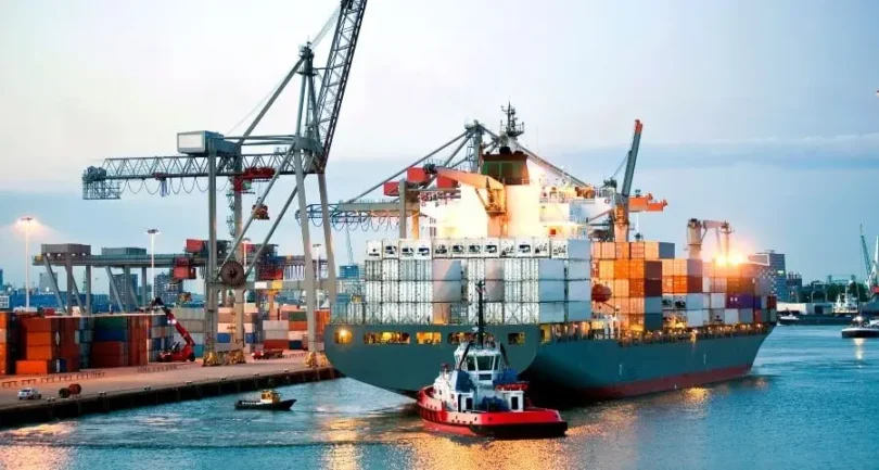 Nomenclatura Comum do Mercosul (NCM)